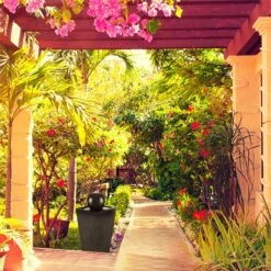 Königsbrunn Fontana Solare -Elettrodomestici Negozio 10029040 yy 0004 ambient Blumfeldt Koenigsbrunn Solar Springbrunnen reedit