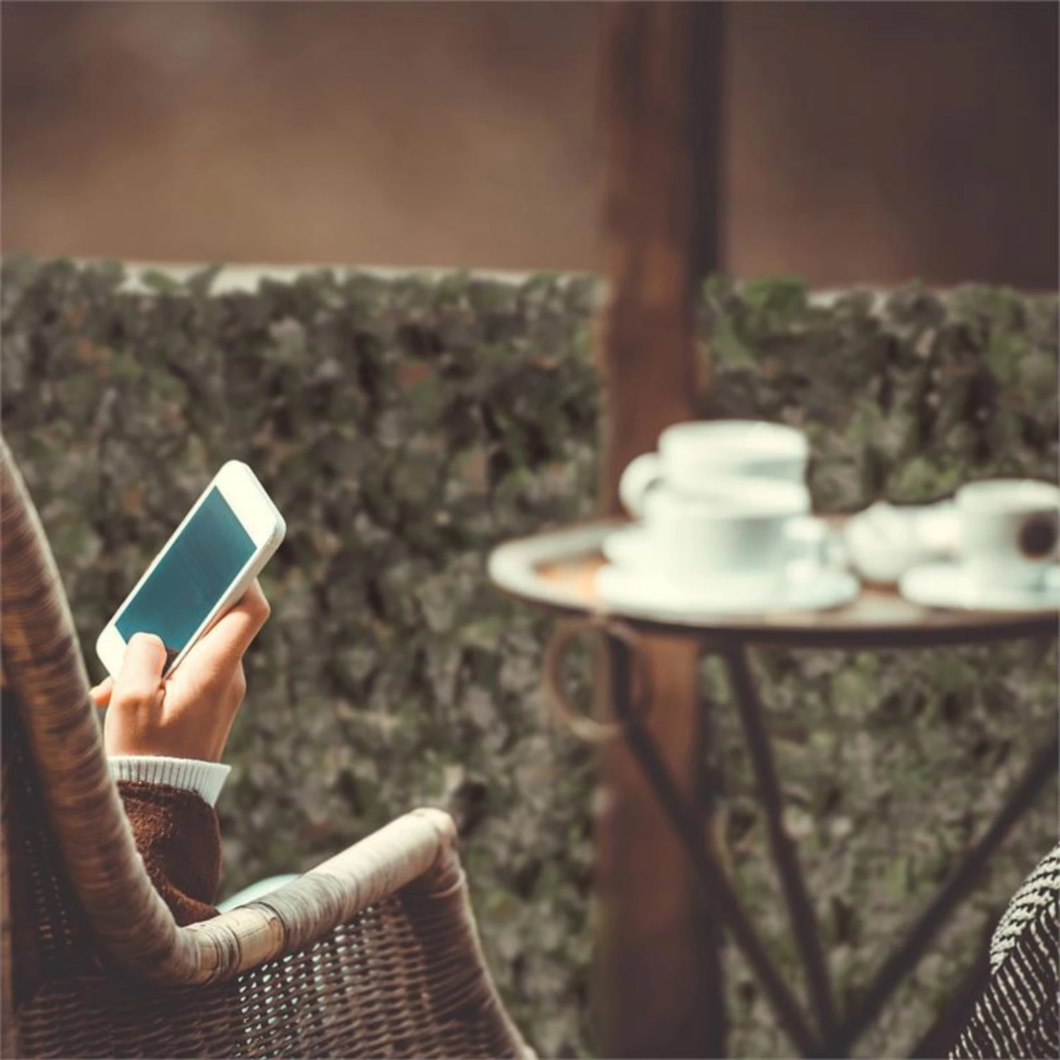 Fency Dark Ivy Recinto Per Proteggere La Privacy - immagine 4