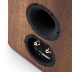Retrospective 1978 MKII Altoparlanti Da Mensola -Elettrodomestici Negozio 10030960 yy 0004 detail NUMAN Retrospective 1978 MKII Lautsprecher Walnuss