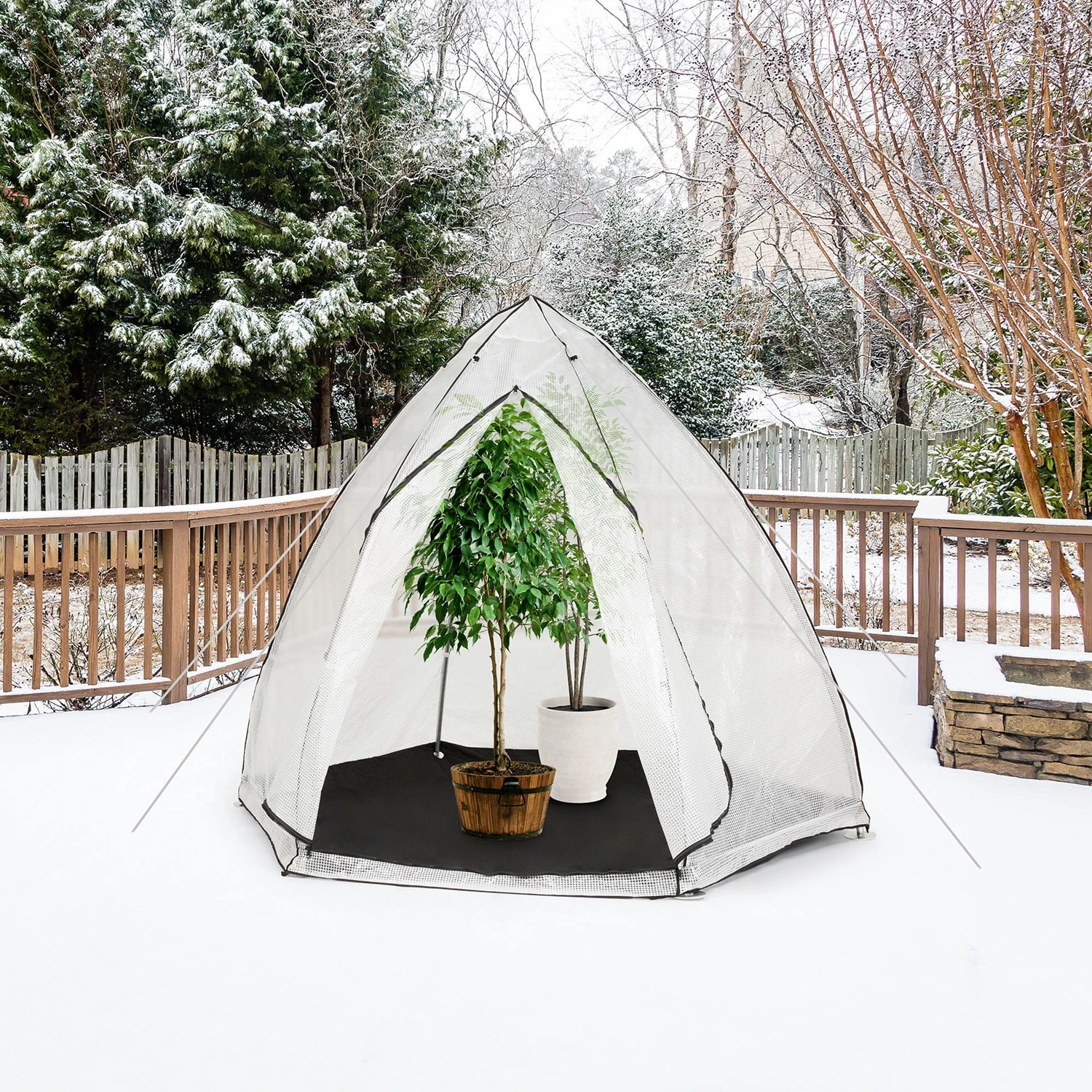 Greenshelter L Serra Invernale 240 X 200 4 Greenshelter L Serra Invernale 240 X 200 - immagine 2