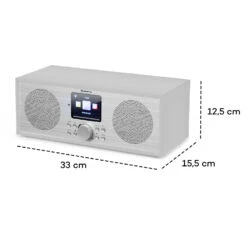 Silver Star DAB Stereo Radio Web -Elettrodomestici Negozio 10032917 yy 0010 logo