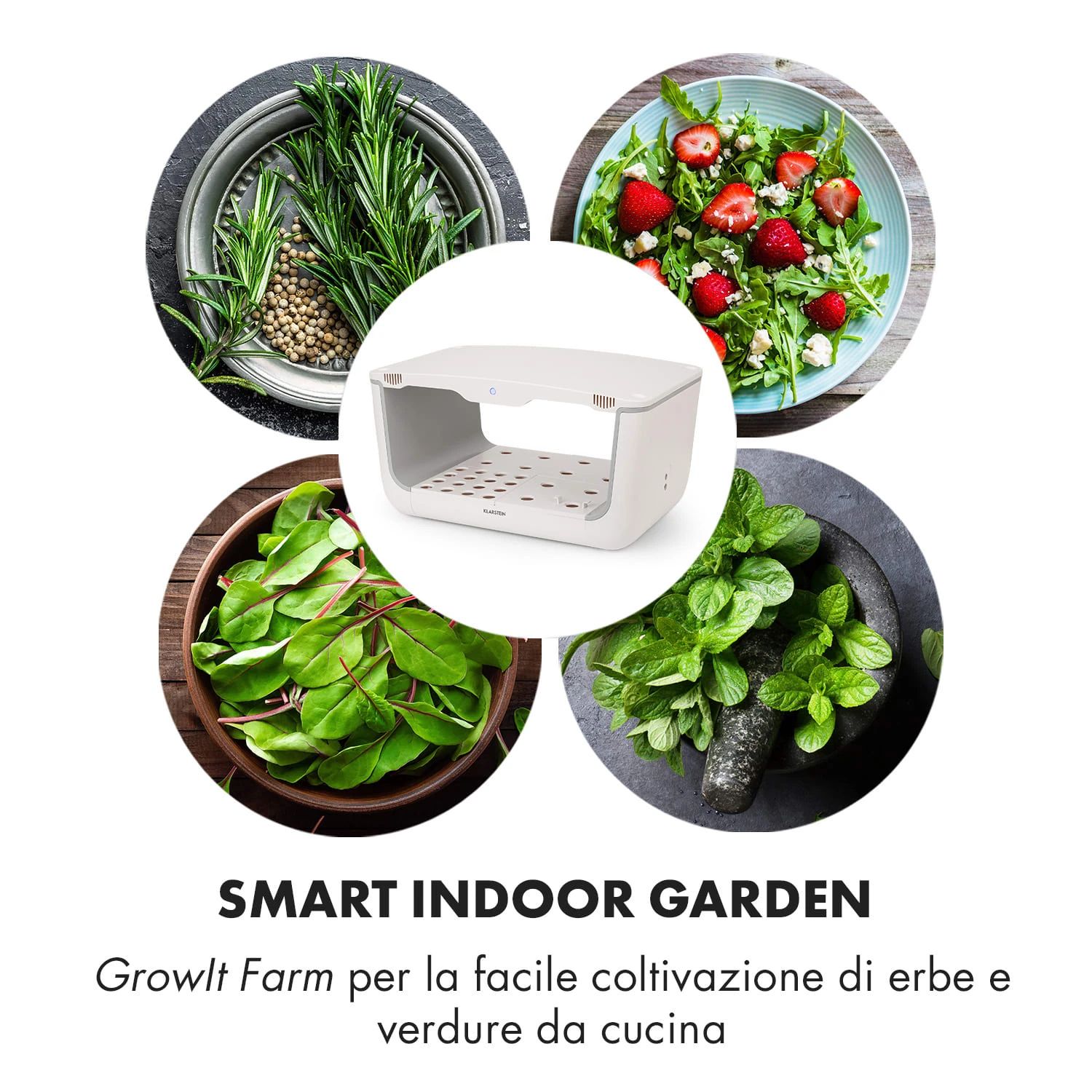 Growlt Farm Smart Indoor Garden 6 Growlt Farm Smart Indoor Garden - immagine 4