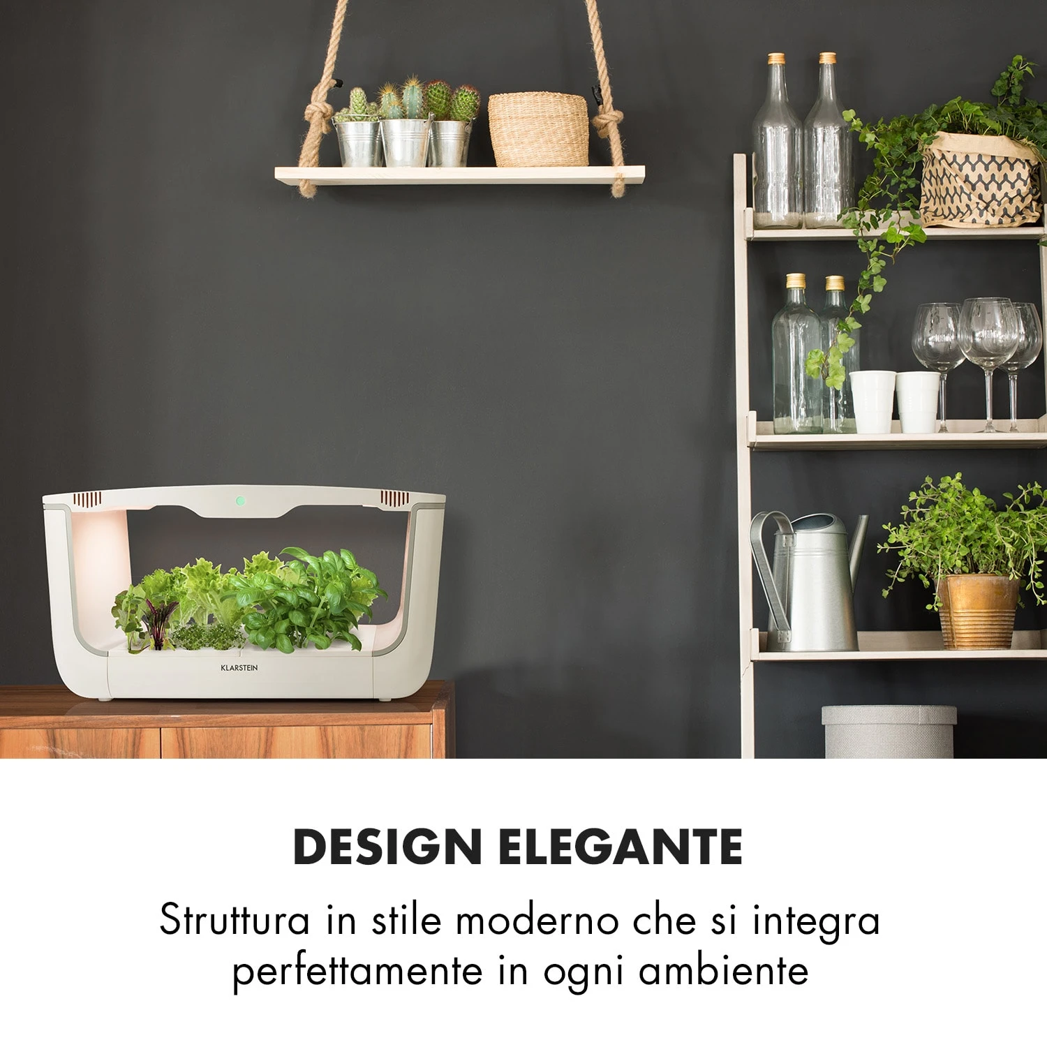 Growlt Farm Smart Indoor Garden 7 Growlt Farm Smart Indoor Garden - immagine 5