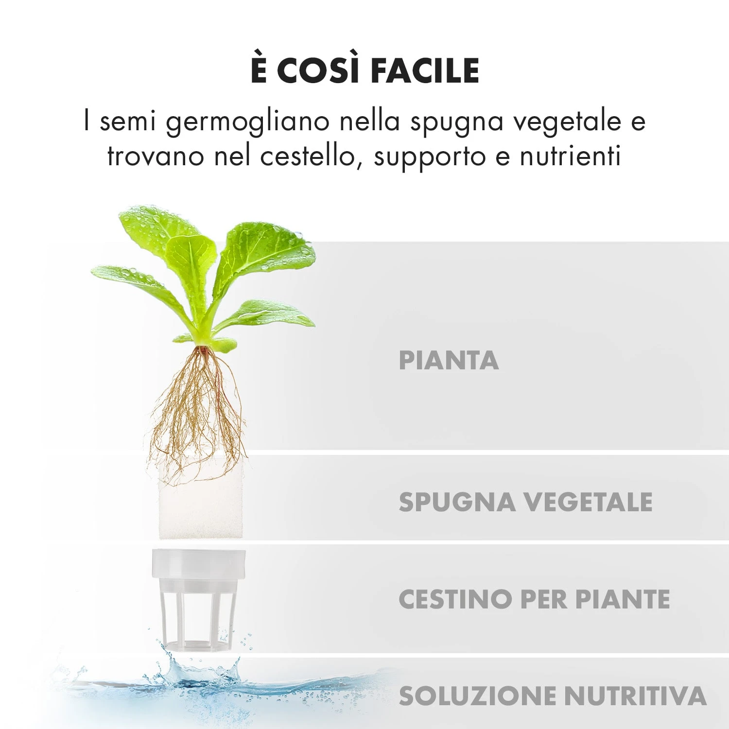 Growlt Farm Smart Indoor Garden 11 Growlt Farm Smart Indoor Garden - immagine 9