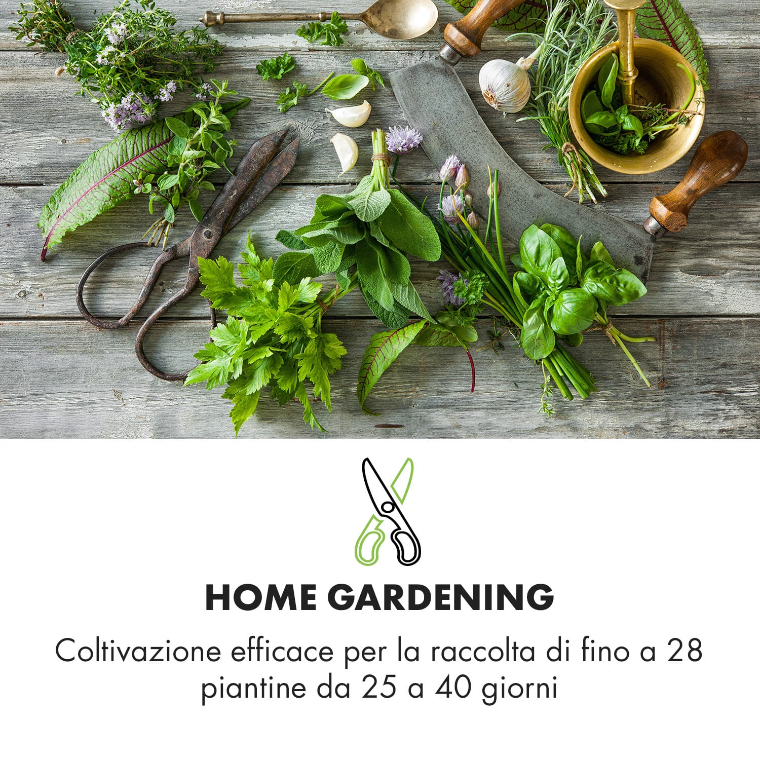 Growlt Farm Smart Indoor Garden 12 Growlt Farm Smart Indoor Garden - immagine 10