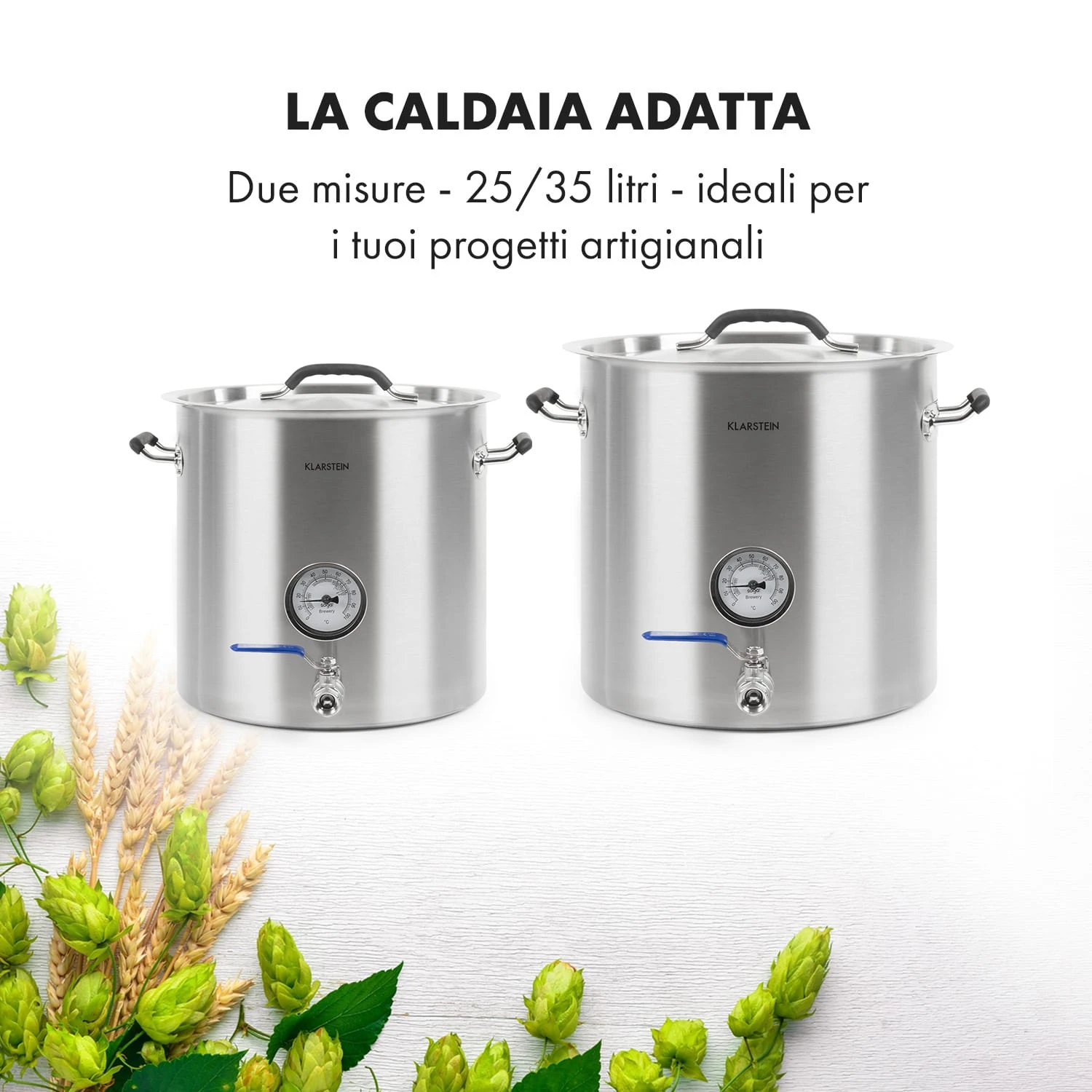 Brauheld Pur 25 Paiolo Di Ammostamento 9 Brauheld Pur 25 Paiolo Di Ammostamento - immagine 7