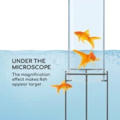 Skydive 100 Torre Per Pesci 10 Skydive 100 Torre Per Pesci -Elettrodomestici Negozio 10034718 uk 0003 logo blumfeldt Skydive 100 Fischturm 20 x 127 cm