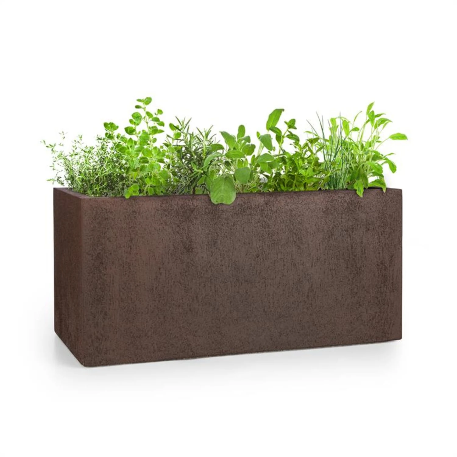 Solid Grow Rust Vaso Per Piante 3 Solid Grow Rust Vaso Per Piante