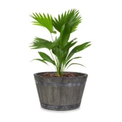 Winegrow Vaso Per Piante