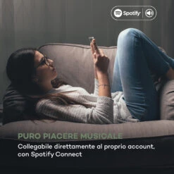 IR-160 SE Web Radio -Elettrodomestici Negozio 10034907 it 0004 logo