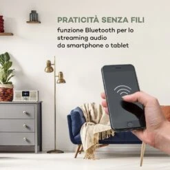 IR-260 Web Radio -Elettrodomestici Negozio 10034909 it 0003 logo