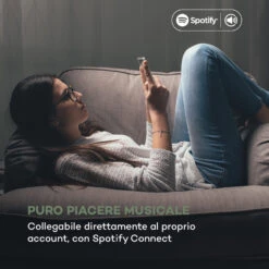 IR-260 Web Radio -Elettrodomestici Negozio 10034909 it 0004 logo