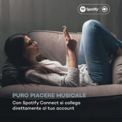 Connect Vertical Radio Internet -Elettrodomestici Negozio 10034997 it 0006 logo