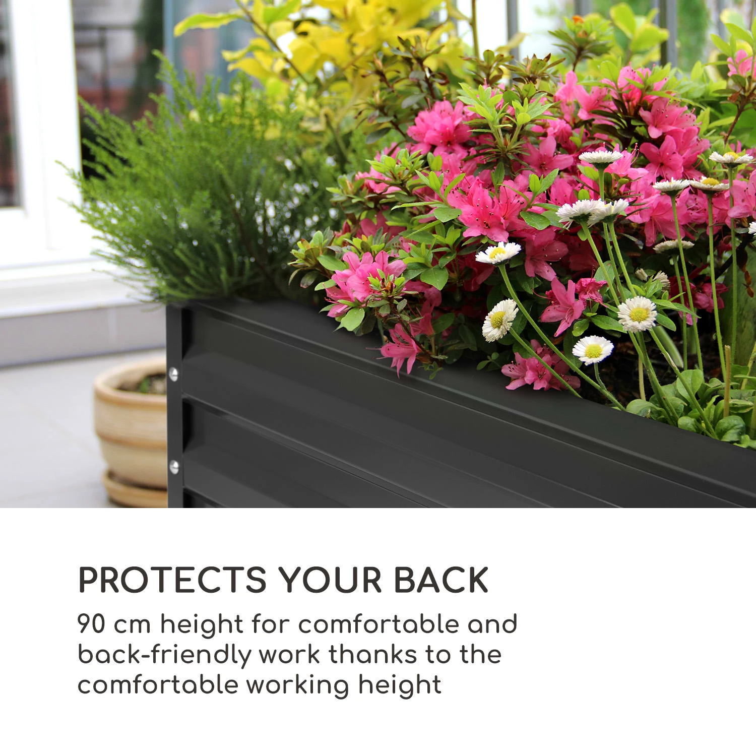 High Grow Straight Aiuola Rialzata 5 High Grow Straight Aiuola Rialzata - immagine 3