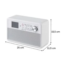 Nestor DAB+ Radio -Elettrodomestici Negozio 10035370 yy 0009 logo auna Nestor DAB Radio weiss