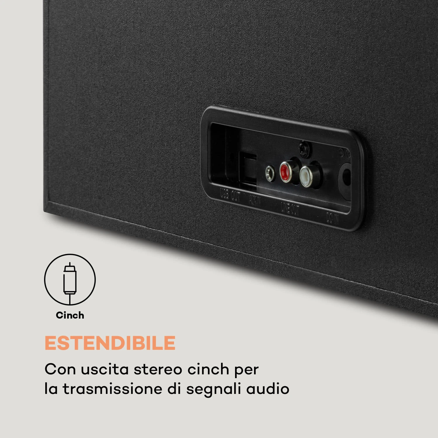 Sarah Ann Giradischi 9 Sarah Ann Giradischi - immagine 7