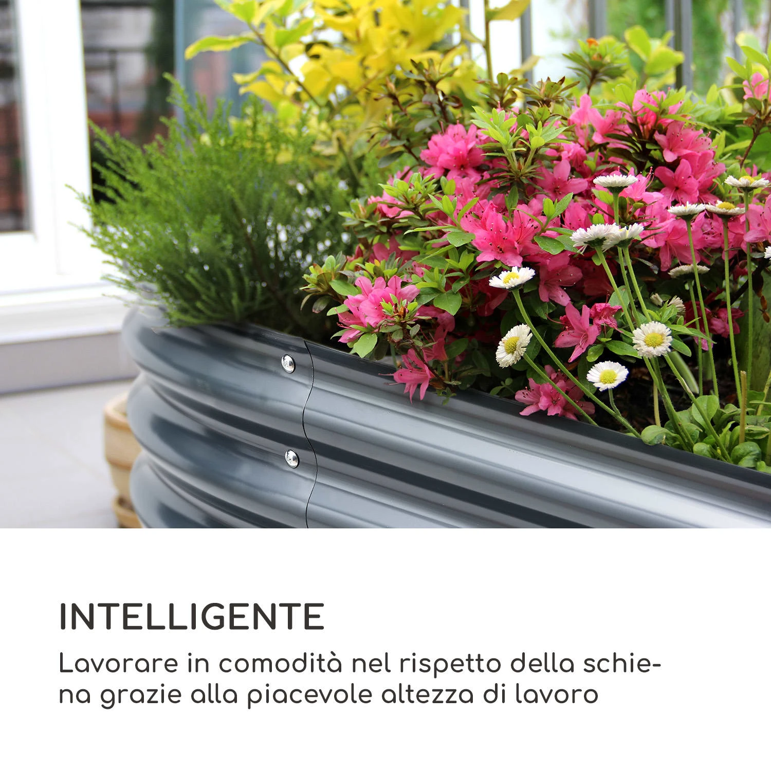 High Grow Fioriera Rialzata 5 High Grow Fioriera Rialzata - immagine 3
