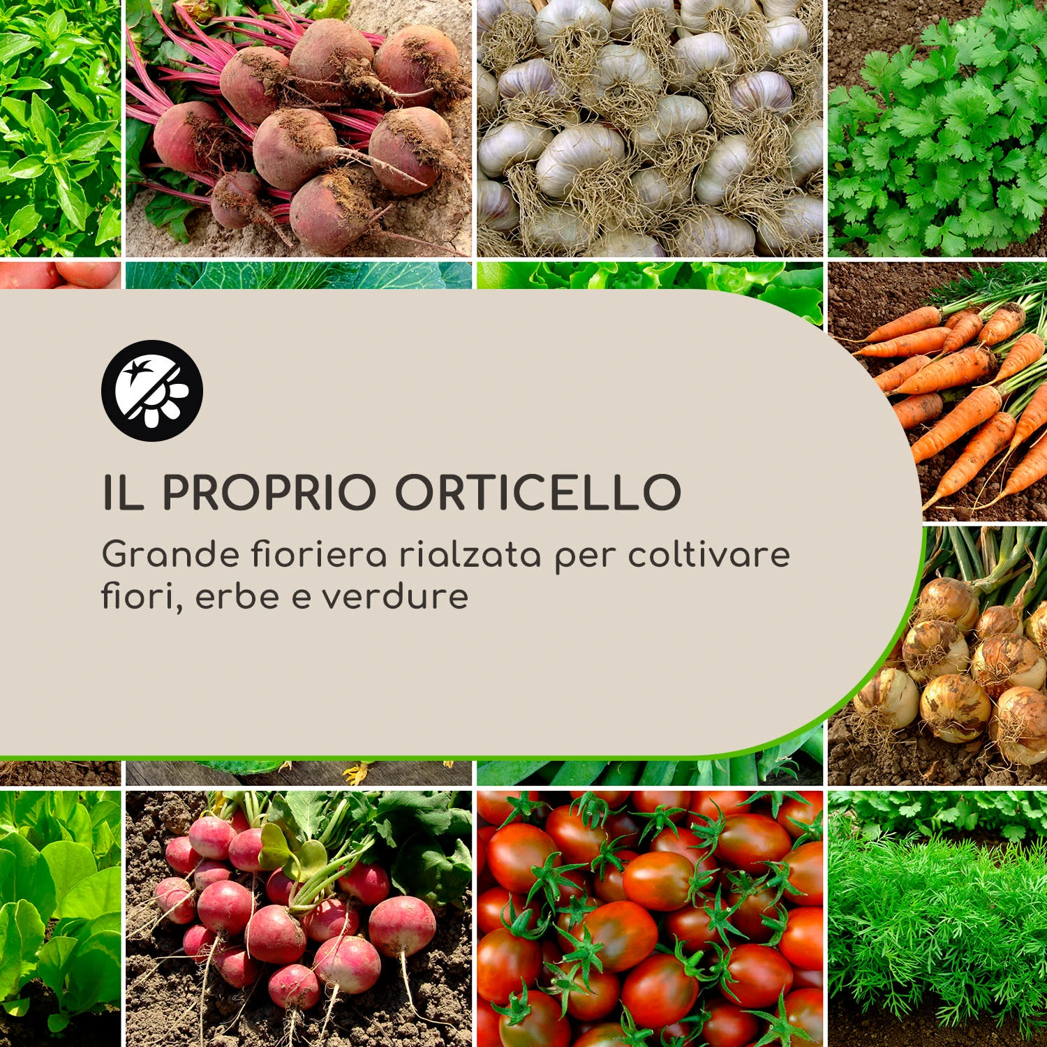 High Grow Fioriera Rialzata 6 High Grow Fioriera Rialzata - immagine 4