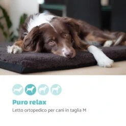 Luna, Lettino Per Cani, Materassino Per Cani | Lavabile | Ortopedico | Antiscivolo | Traspirante | Memory Foam | Taglia M (80x5x55 Cm) -Elettrodomestici Negozio 10037546 it 0002 logo