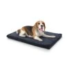 Luna, Lettino Per Cani, Materassino Per Cani | Lavabile | Ortopedico | Antiscivolo | Traspirante | Memory Foam | Taglia M (80x5x55 Cm) 1 Luna, Lettino Per Cani, Materassino Per Cani | Lavabile | Ortopedico | Antiscivolo | Traspirante | Memory Foam | Taglia M (80x5x55 Cm) -Elettrodomestici Negozio 10037546 yy 0001 titel