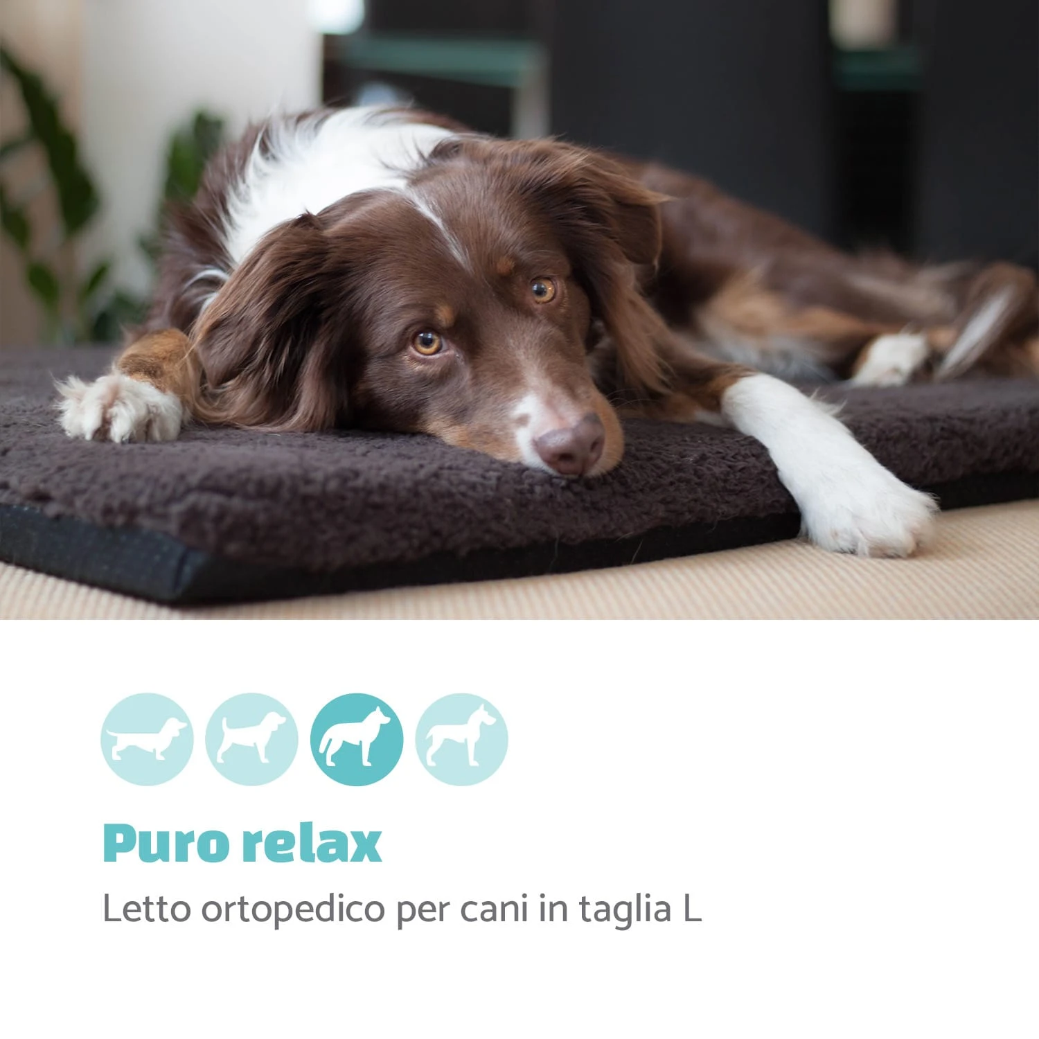 Luna, Lettino Per Cani, Materassino Per Cani | Lavabile | Ortopedico | Antiscivolo | Traspirante | Memory Foam | Taglia L (100x5x70 Cm) 4 Luna, Lettino Per Cani, Materassino Per Cani | Lavabile | Ortopedico | Antiscivolo | Traspirante | Memory Foam | Taglia L (100x5x70 Cm) - immagine 2