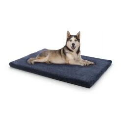 Luna, Lettino Per Cani, Materassino Per Cani | Lavabile | Ortopedico | Antiscivolo | Traspirante | Memory Foam | Taglia L (100x5x70 Cm)