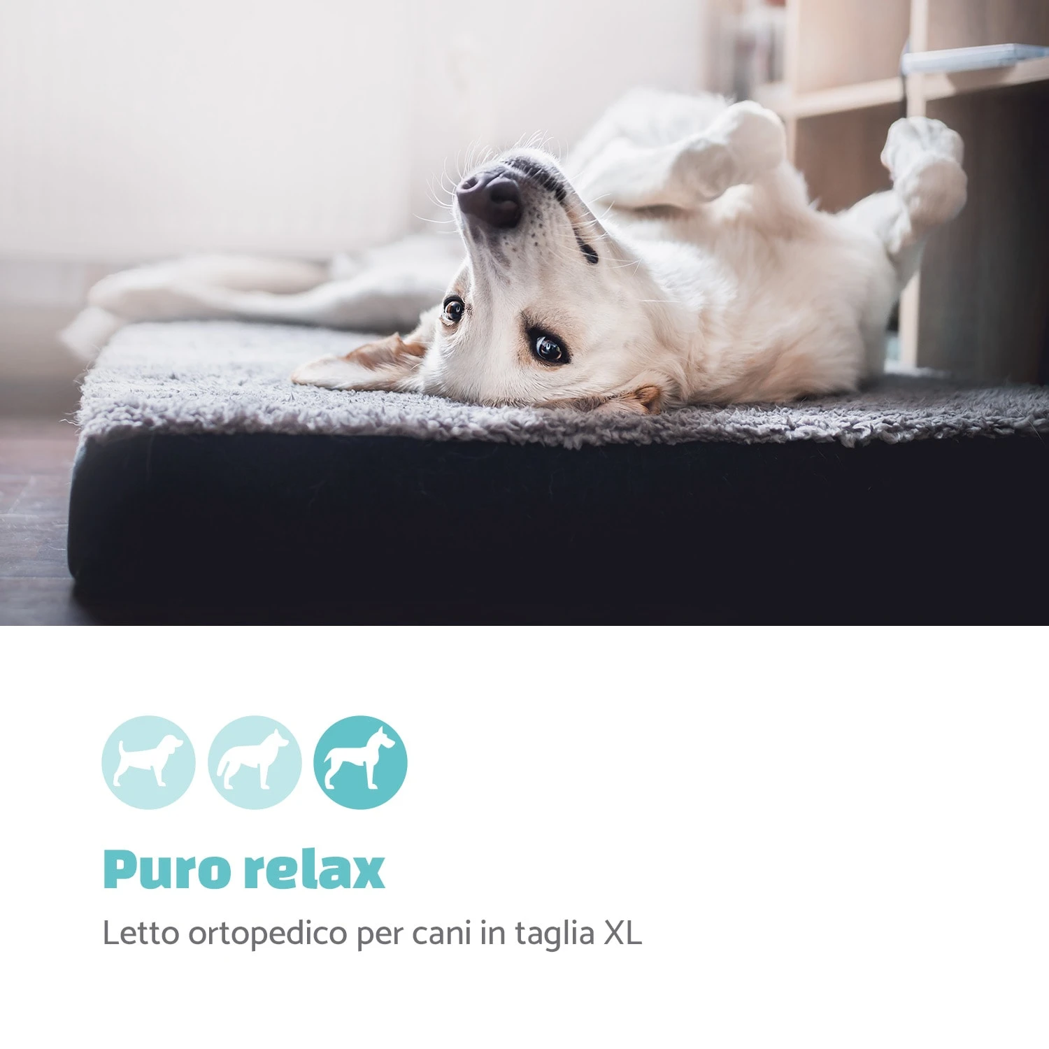 Paco Lettino Per Cani Materassino Per Cani 4 Paco Lettino Per Cani Materassino Per Cani - immagine 2