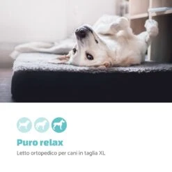 Paco Lettino Per Cani Materassino Per Cani -Elettrodomestici Negozio 10037574 it 0002 logo