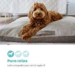 Henry Lettino Per Cani Materassino Per Cani -Elettrodomestici Negozio 10037576 it 0002 logo