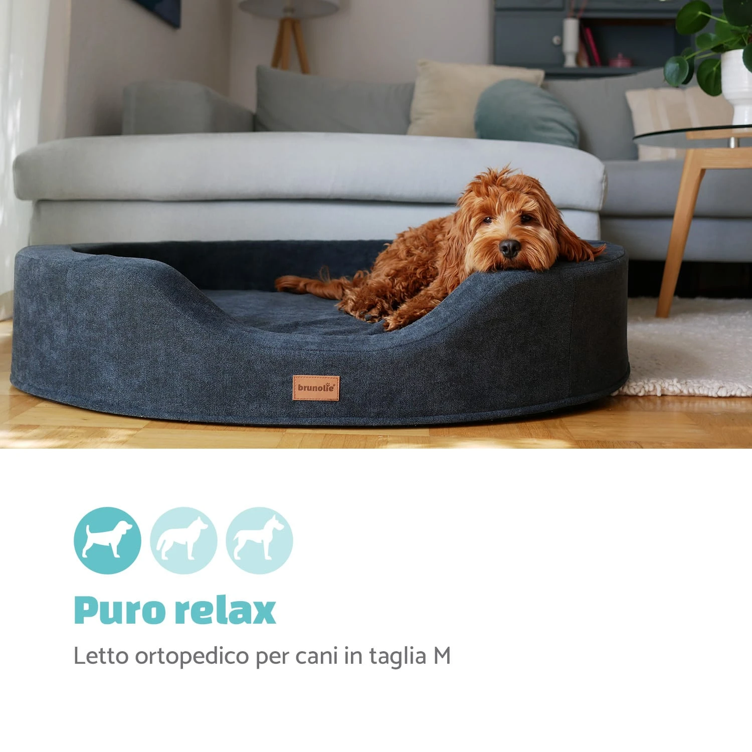 Lotte Lettino Per Cani Cuscino Per Cani 4 Lotte Lettino Per Cani Cuscino Per Cani - immagine 2