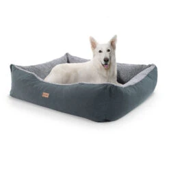 Emma Divanetto Per Cani