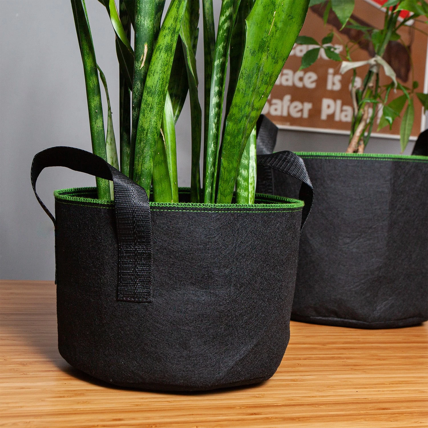 Set Di Sacchi Per Piante 6 Set Di Sacchi Per Piante - immagine 4