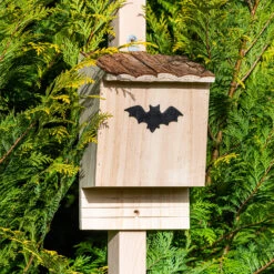 Casetta Per Pipistrelli, Per Nidificare 16 Casetta Per Pipistrelli, Per Nidificare -Elettrodomestici Negozio 10038036 yy 0007 logo