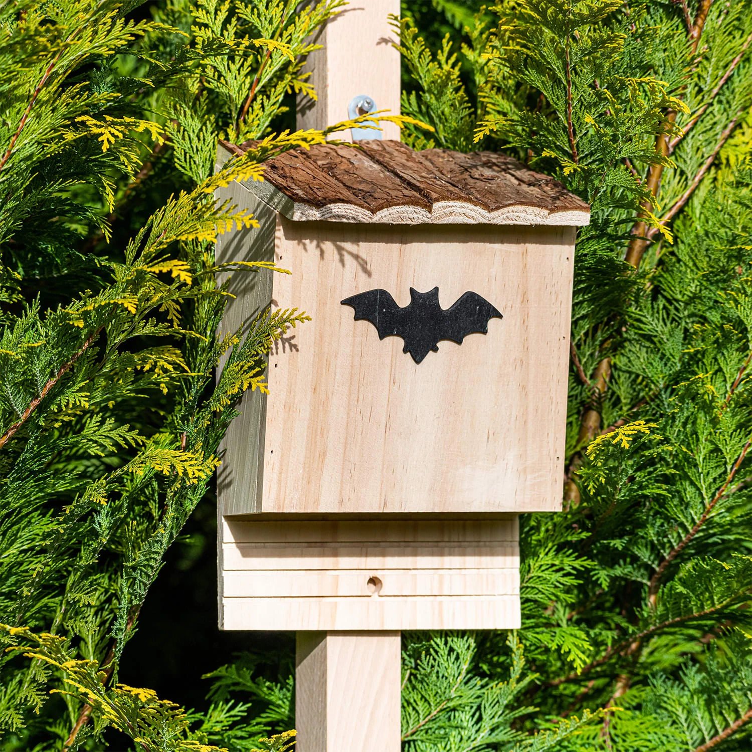 Casetta Per Pipistrelli, Per Nidificare 9 Casetta Per Pipistrelli, Per Nidificare - immagine 7