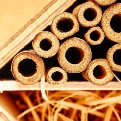 Tubicini Di Bambù -Elettrodomestici Negozio 10038136 yy 0006 logo