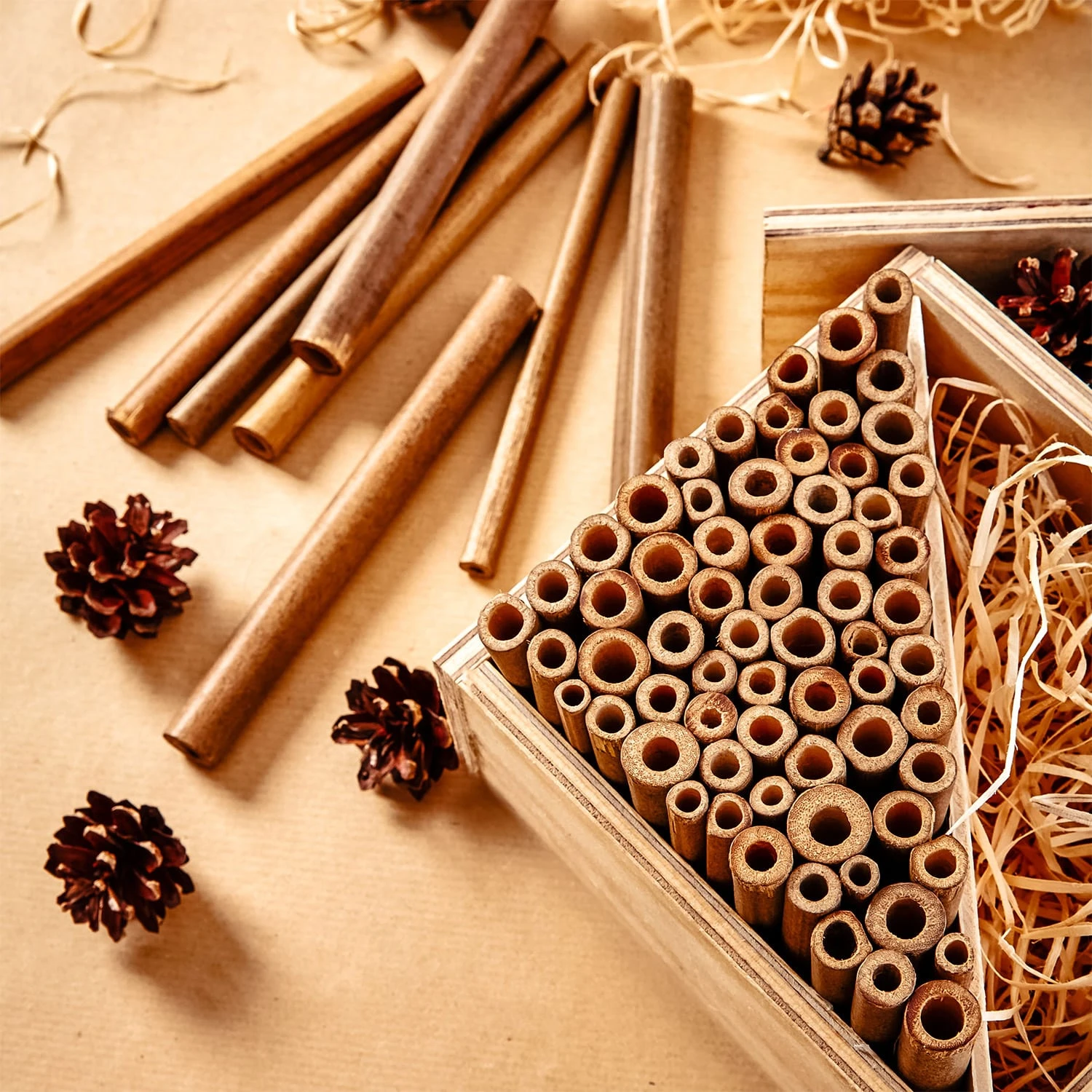 Tubicini Di Bambù 5 Tubicini Di Bambù - immagine 3