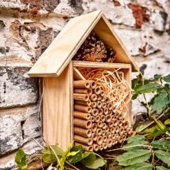 Tubicini Di Bambù 13 Tubicini Di Bambù -Elettrodomestici Negozio 10038148 yy 0005 logo