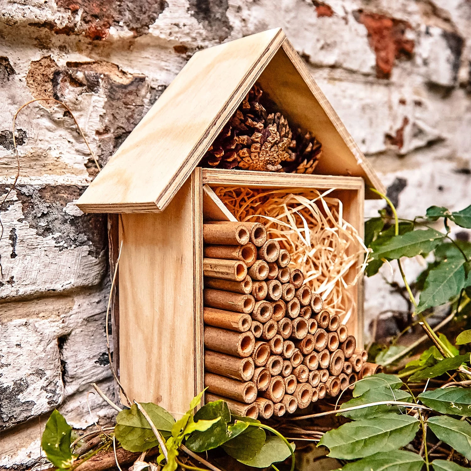 Tubicini Di Bambù 7 Tubicini Di Bambù - immagine 5