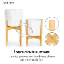 Deventer Portavaso -Elettrodomestici Negozio 10038459 it 0005 usp