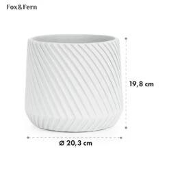 Heusden Fioriera -Elettrodomestici Negozio 10038482 yy 0008 dimensions