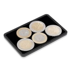 Coin Card Con Feltro