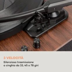 Giradischi TT-Classic Plus -Elettrodomestici Negozio 10038691 it 0004 logo