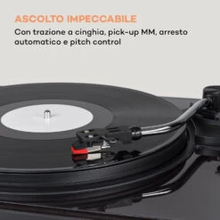 Pureness Giradischi -Elettrodomestici Negozio 10040060 it 0004 logo