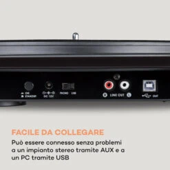 Pureness Giradischi -Elettrodomestici Negozio 10040060 it 0006 logo